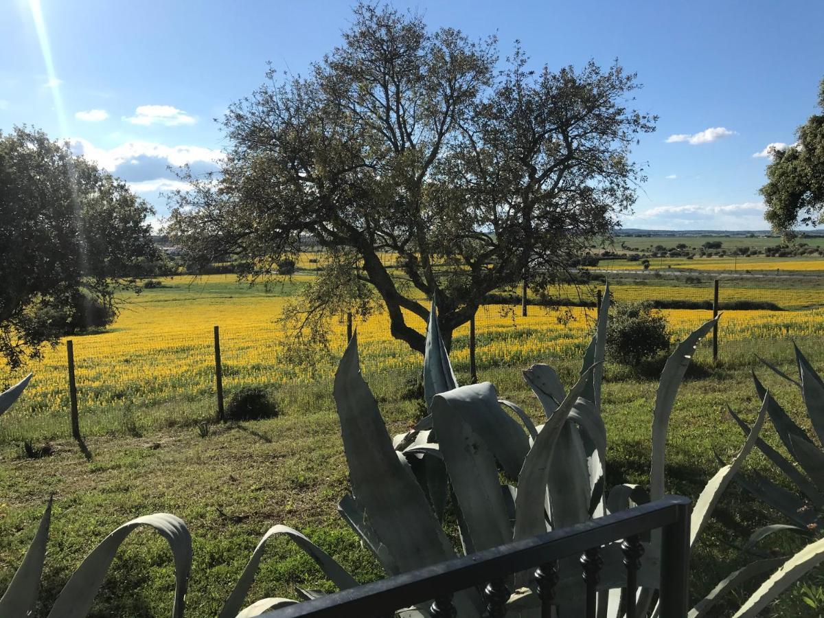 Вилла Quinta Da Colina Эвора Экстерьер фото